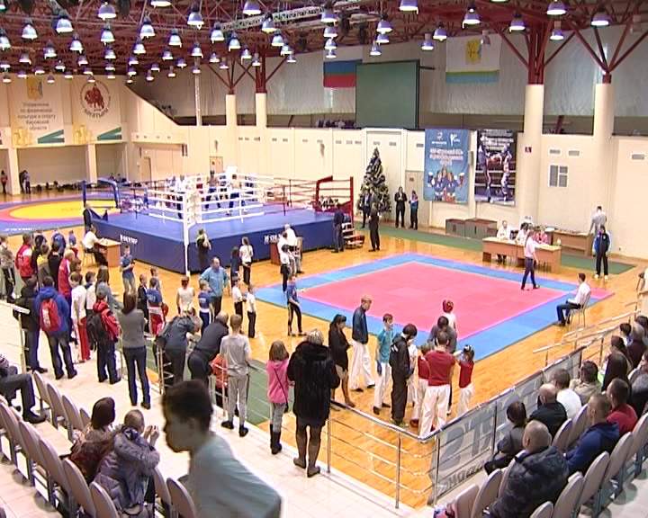 Чемпионат по кикбоксингу