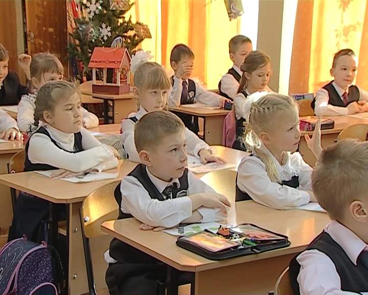 Конкурс кормушек для птиц провели в кировской школе № 20