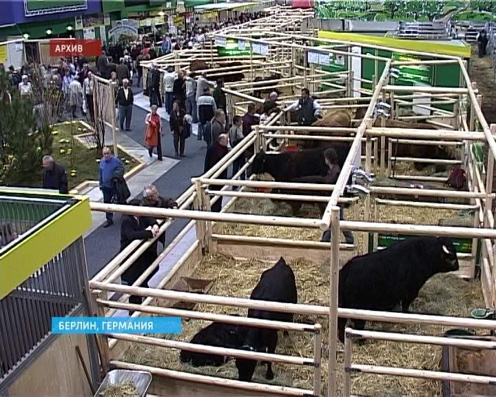 11 предприятий АПК кировской области участвовали в международной торговой выставке «Зеленая неделя» в Берлине