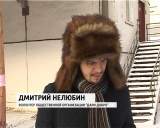 Волонтеры ищут хозяев собакам, которые получили тяжелую физическую или психологическую травму 