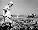 Навстречу Победе! Героический труд (07.02.2015)