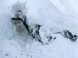 В Омутнинске нашли труп женщины, без вести пропавшей в прошлом году.