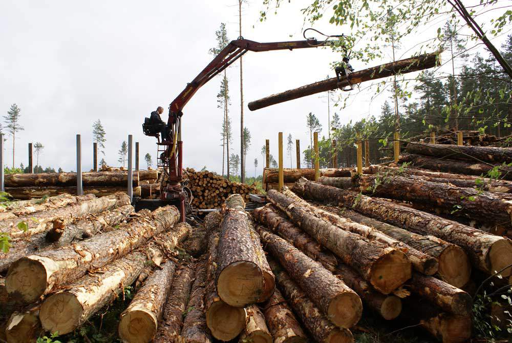 В Фаленском районе русло реки Березовка захламили отходами лесопиления.