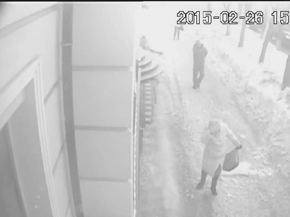 Следователи просят откликнуться очевидцев