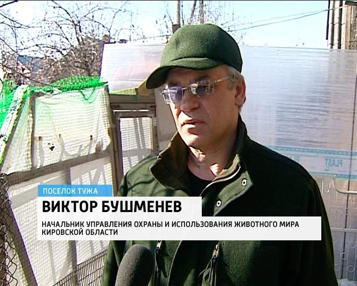 Специальный избирательный счет кандидата. Министерство лесного хозяйства кировской области. Представительные органы работников виды. Мероприятия по охране диких животных. Министерство лесного хозяйства киров.