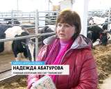 Ход зимовки скота в Кирово-Чепецком районе.