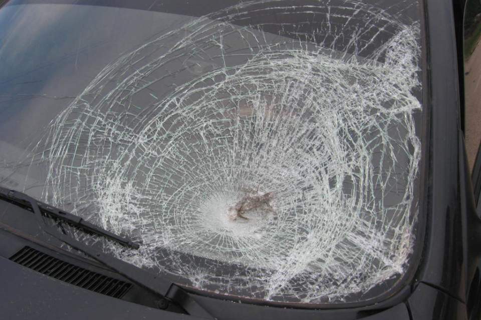 Водителя, сбившего насмерть двух пешеходов, приговорили к 2,8 годам колонии.