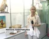 Выставка "Грызуны удивительные и разные"