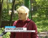 «Райский сад» в Кирово-Чепецкой гимназии №1