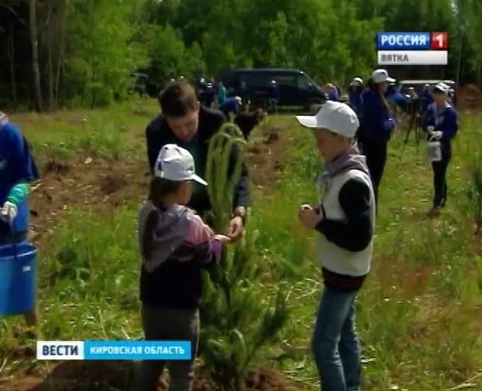 ОНФ со студентами провели акцию по восстановлению леса