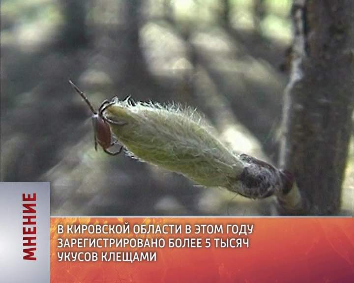 Мнение (11.06.2015)