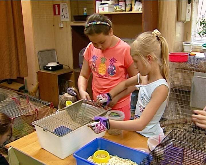 Юннатское движение в Кирове