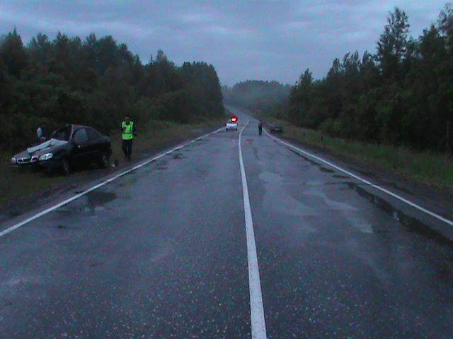 В Омутнинском районе иномарка сбила лося.