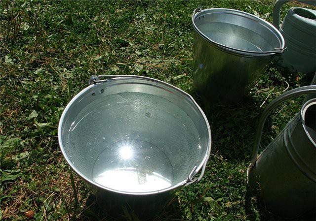 Жители д. Петруненки Фаленского района три года живут без нормального водоснабжения.