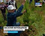 ОНФ со студентами провели акцию по восстановлению леса