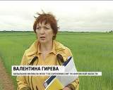 В Зуевском районе прошел "День Поля"