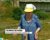 В Санчурске прошел фестиваль вятско-марийской дружбы "Моя малая Родина"