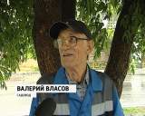 Начался сбор клубники