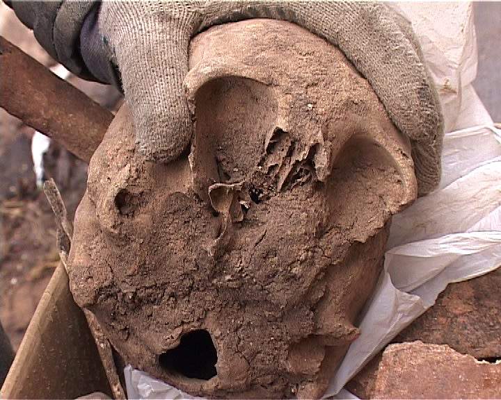 При ремонте кладовой обнаружили скелет