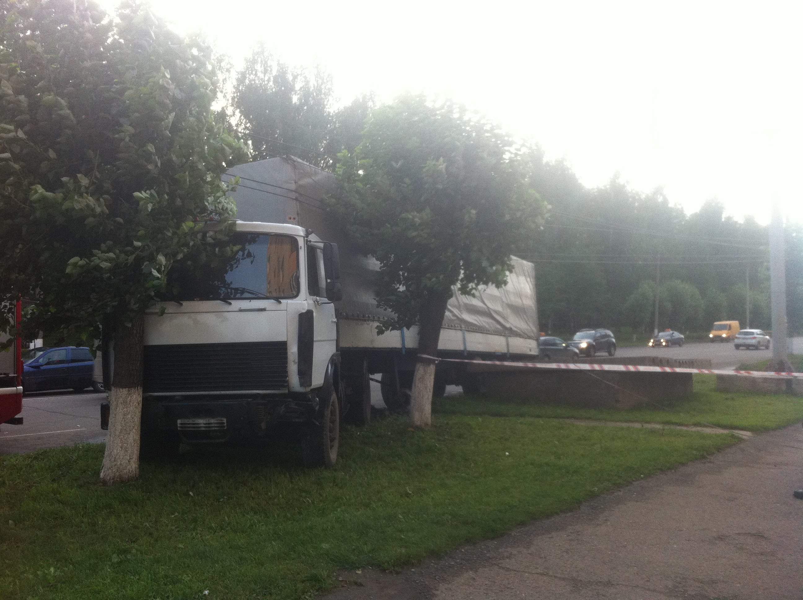 В Кирове фура врезалась в дерево.