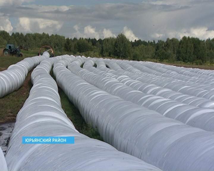 Заготовка кормов в товариществе 