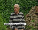 Интернациональная семья