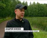 Возрождение Каркино