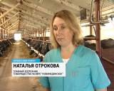 Заготовка кормов в товариществе "Новомедянское" Юрьянского района