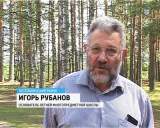 Летняя многопредметная школа  в Вишкиле