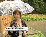 Музей-усадьбу Н. Хохрякова в Кирове затопило.