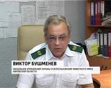 Браконьеры