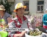 Праздник «Истобенский огурец»