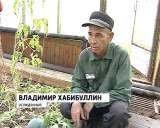 Исправительные колонии