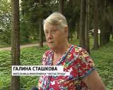 Борщевик Сосновского