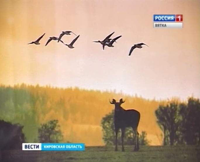 Выставка фотохудожника-анималиста Владимира Арбузова