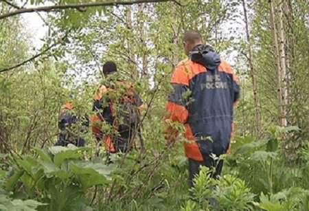 В Опаринском районе ищут пропавшего без вести рыбака.