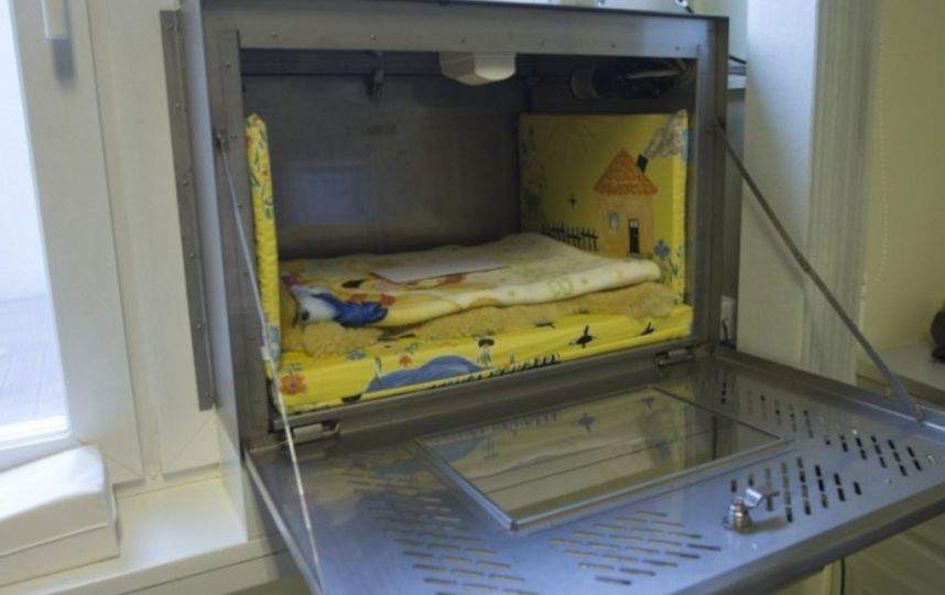 За бэби-боксы заступились российские парламентарии.