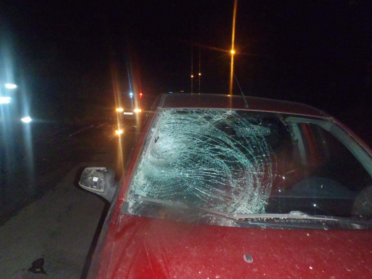 В п. Ганино автоледи сбила пешехода.