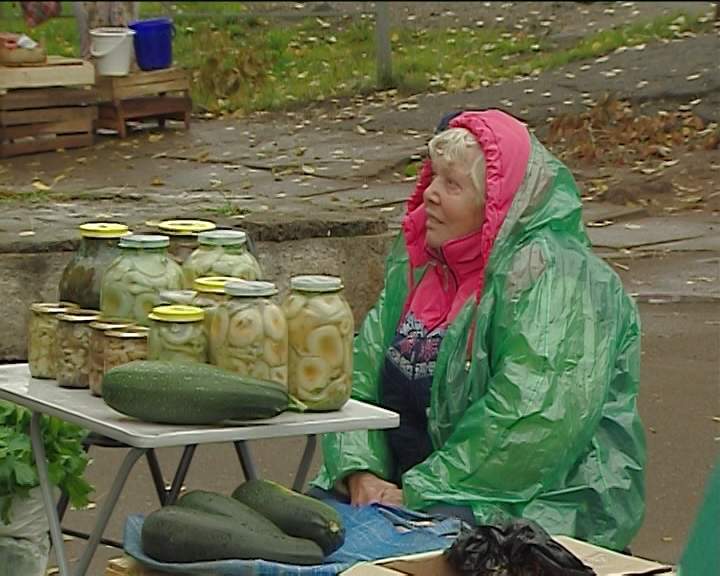 Садоводам, торгующим около ярмарки на Комсомольской предоставят бесплатные торговые места