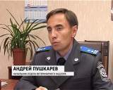 Пчелы атакуют людей