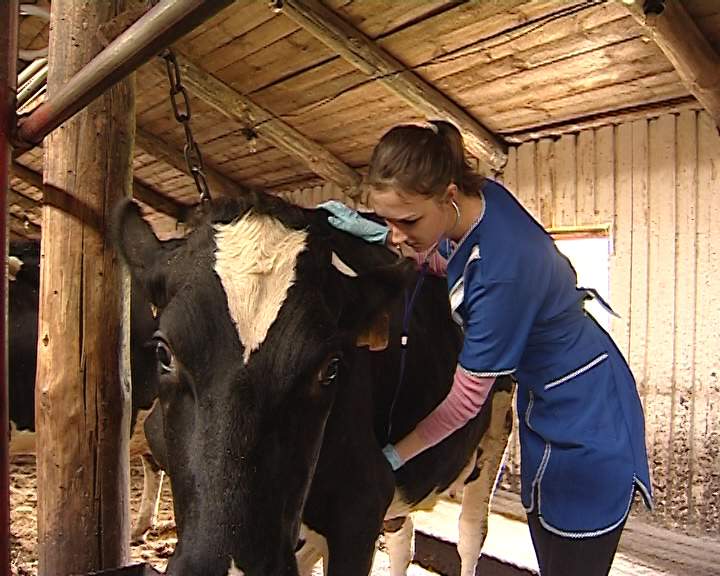 АПК: Время, события, люди… (05.09.2015)