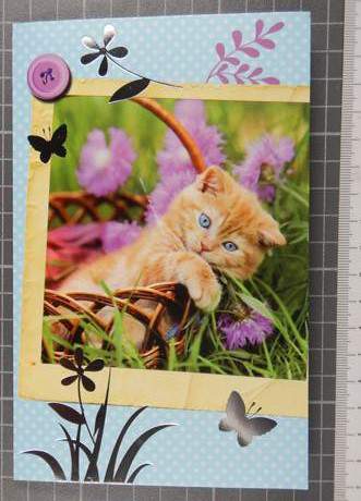 Наркотики почтой. Письмо «с сюрпризом» для жителя Кирова