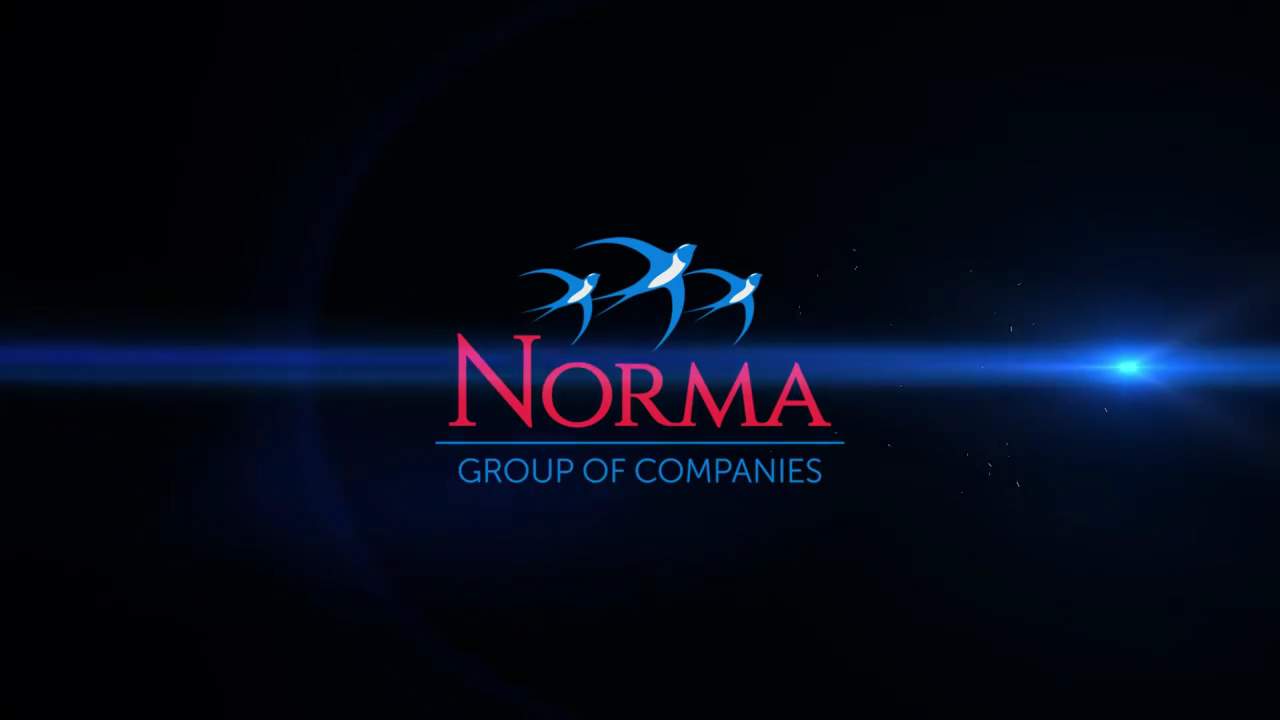 Губерния. Компания 