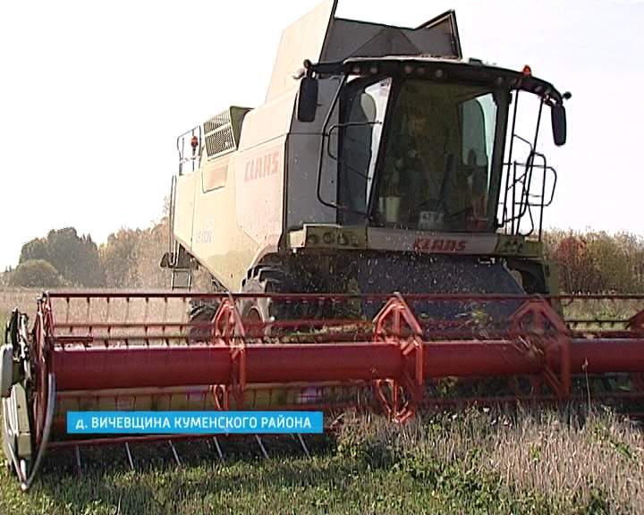 Уборка урожая в Куменском районе