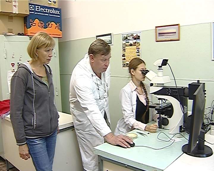 Кировские ученые ищут новые средства для борьбы с онкозаболеваниями