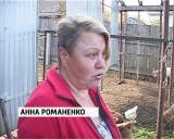 Лучшее подсобное хозяйство региона находится в пригороде Кирова