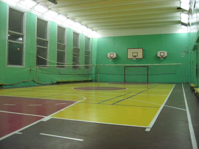 В Боровской школе мальчик сломал руку