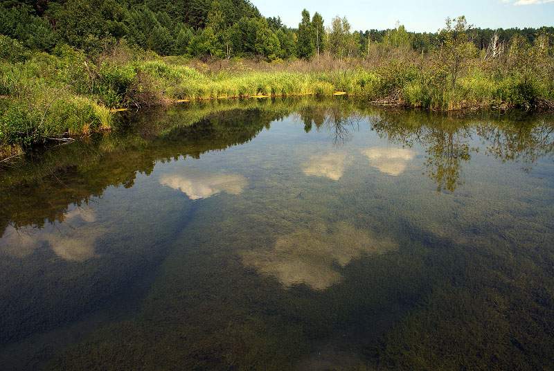 В п. Андреевский Уржумского района незаконно передали в частную собственность общий пруд.