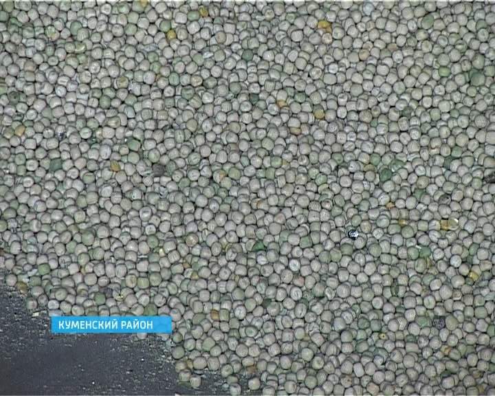 Качество семенного материала