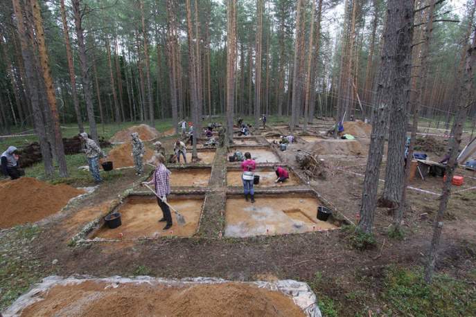 Студенты ВятГГУ участвовали в раскопках могильника эпохи Великого переселения